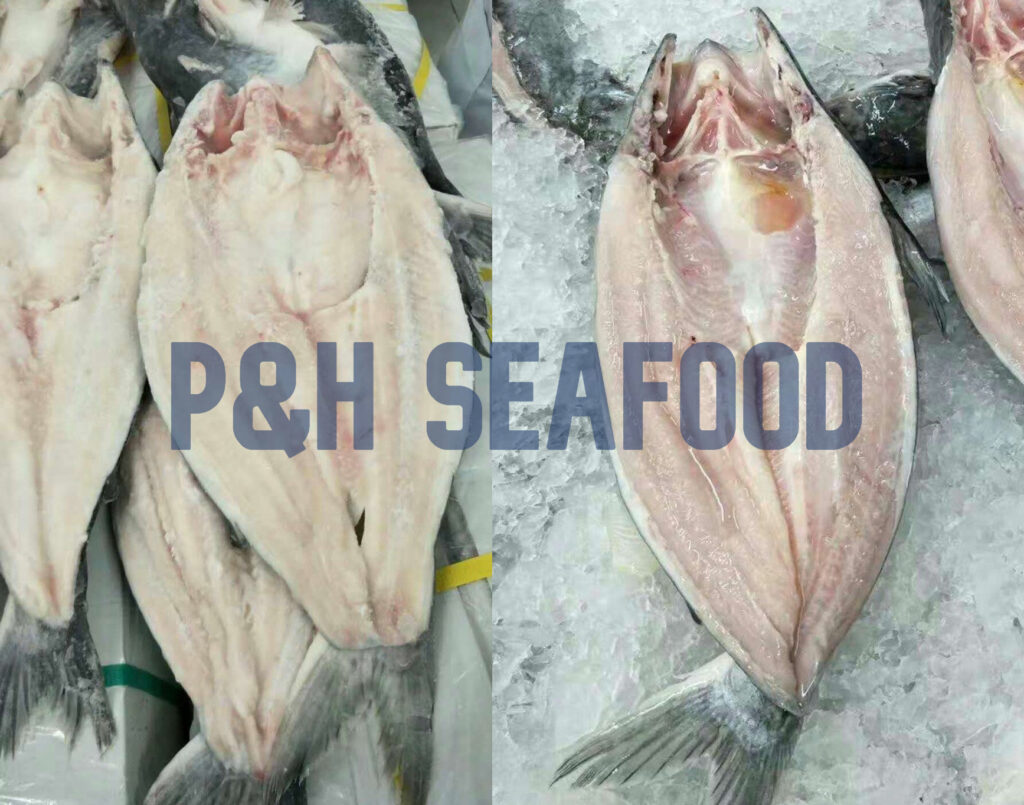 Pangasius Butterfly P H Seafood